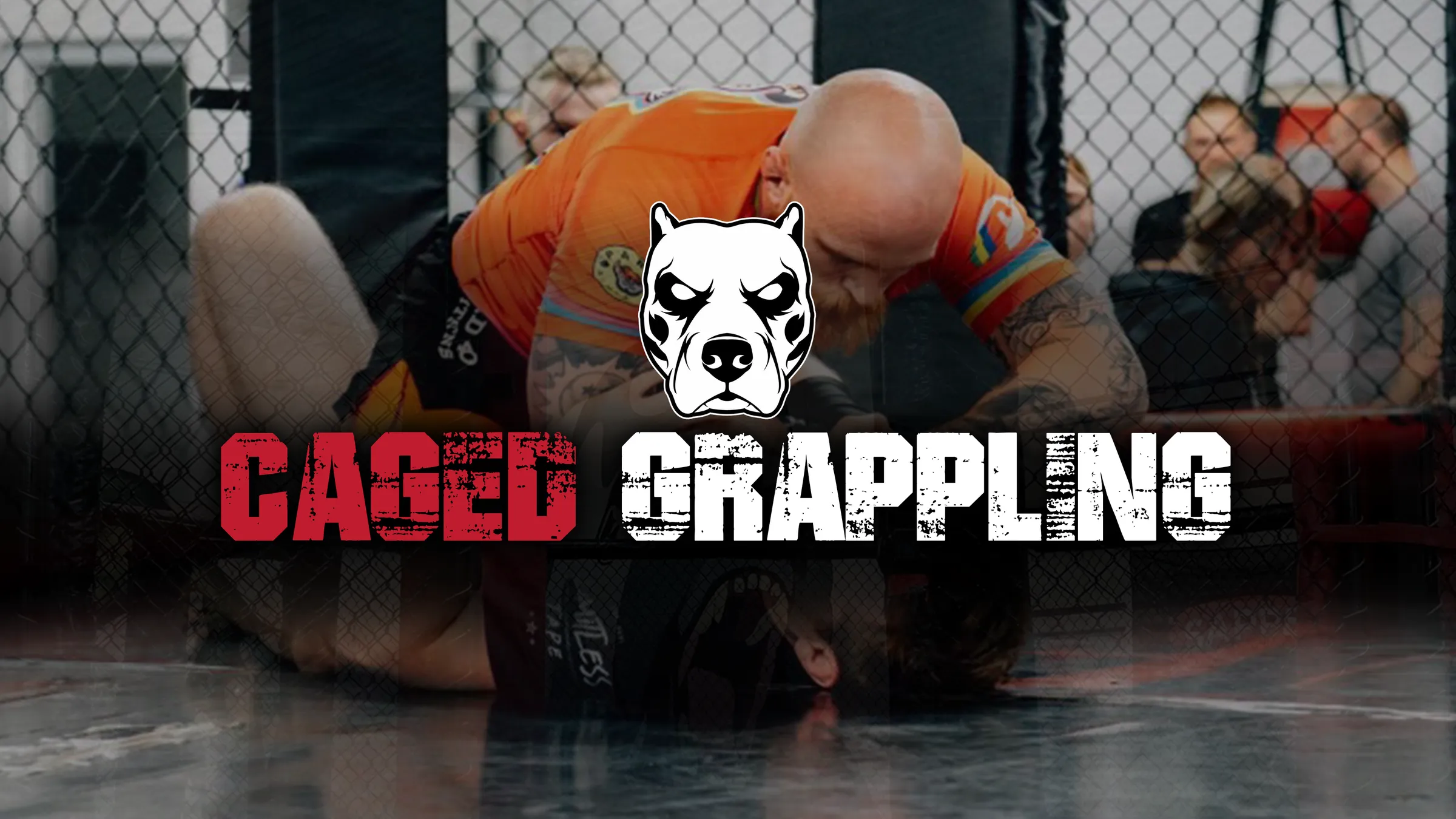 Two grapplers competing inside the cage at a UGI Caged Grappling event